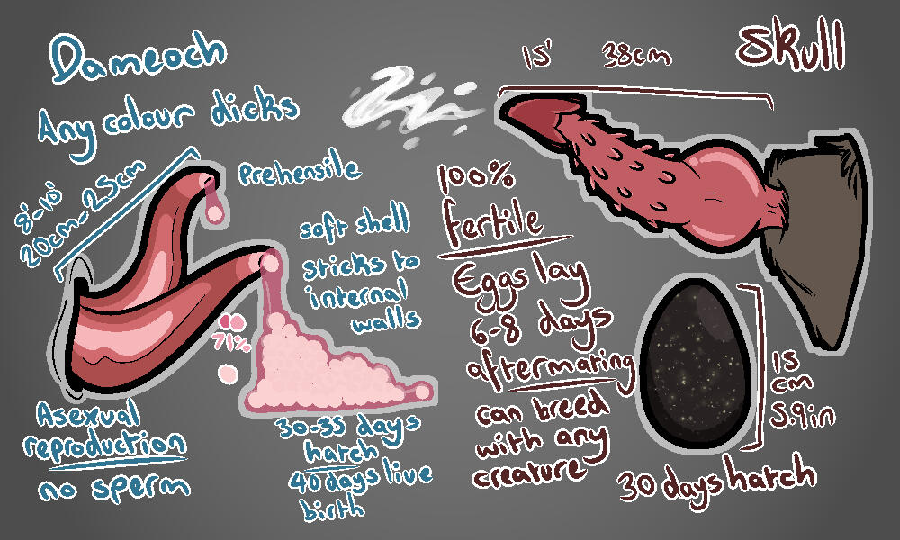 $50 (example of genital ref sheet, detailed)