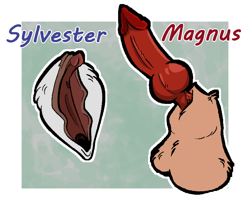 $40 (example of genital ref sheet, simple)