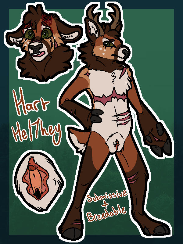 +$30 (example, added onto sfw prices of ref sheet))