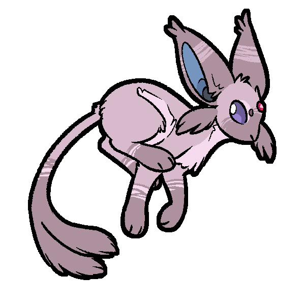 $40 (example)